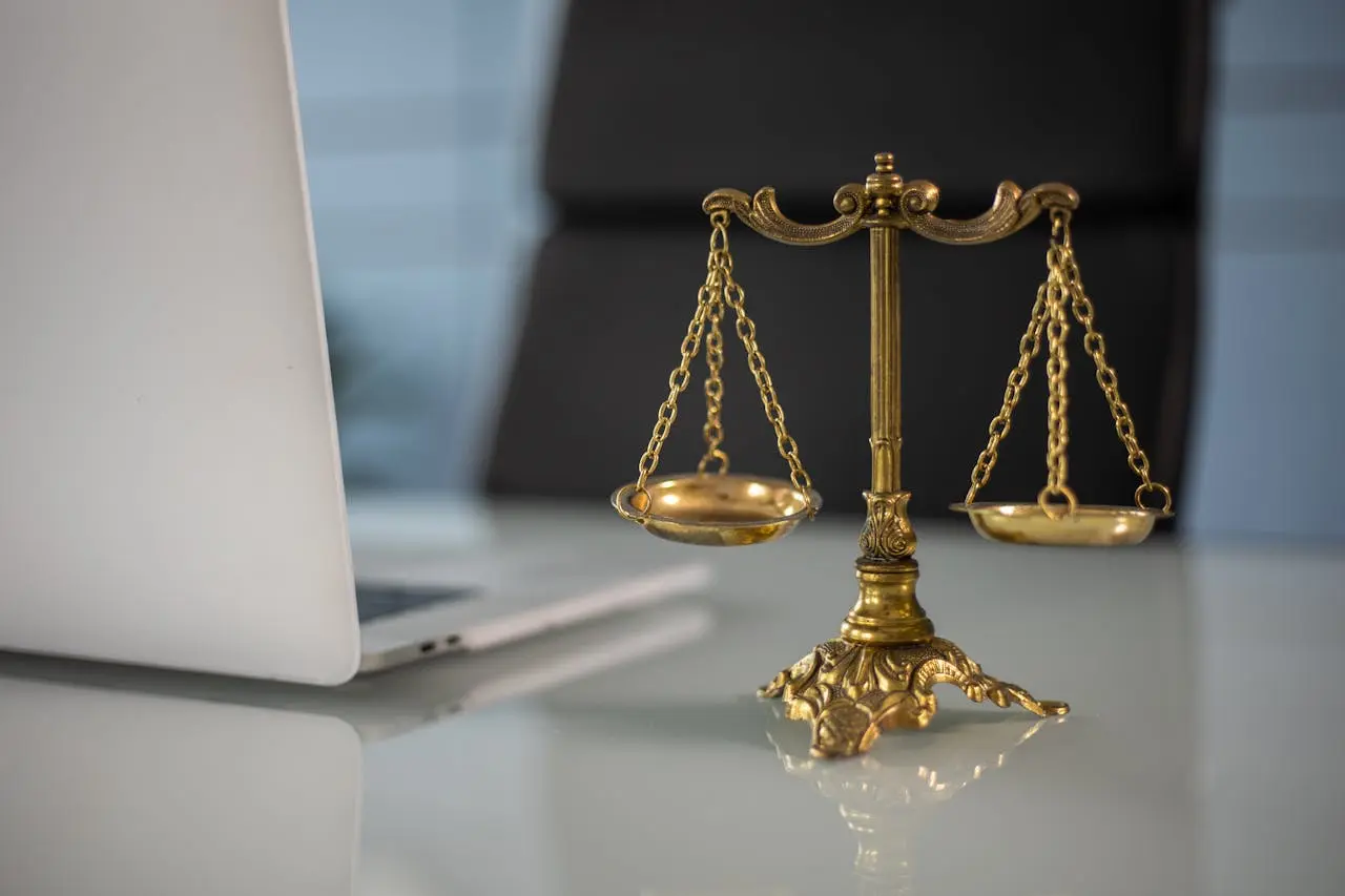 Lawyer Assistant